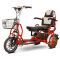 Электротрицикл Адъютант Elbike Double Twix A4